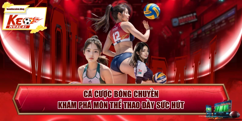 Cá Cược Bóng Chuyền - Khám Phá Môn Thể Thao Đầy Sức Hút