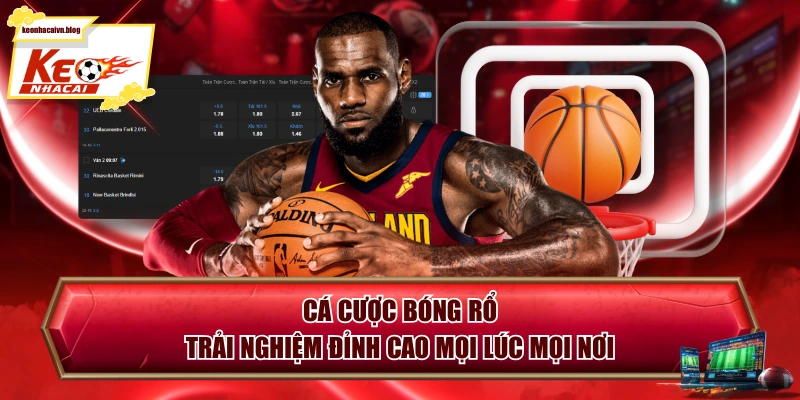 Cá Cược Bóng Rổ - Trải Nghiệm Đỉnh Cao Mọi Lúc Mọi Nơi