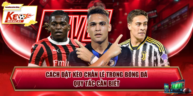 Cách Đặt Kèo Chẵn Lẻ Trong Bóng Đá - Quy Tắc Cần Biết