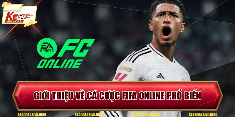 Giới thiệu về cá cược FIFA Online phổ biến
