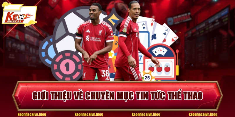 Giới thiệu về chuyên mục tin tức thể thao