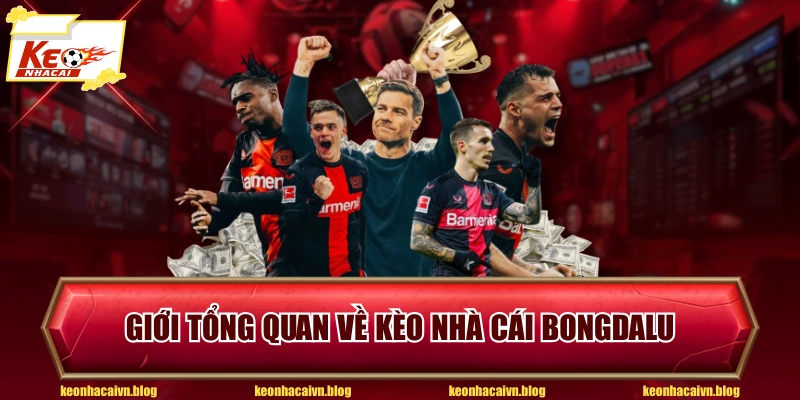 Giới tổng quan về kèo nhà cái Bongdalu