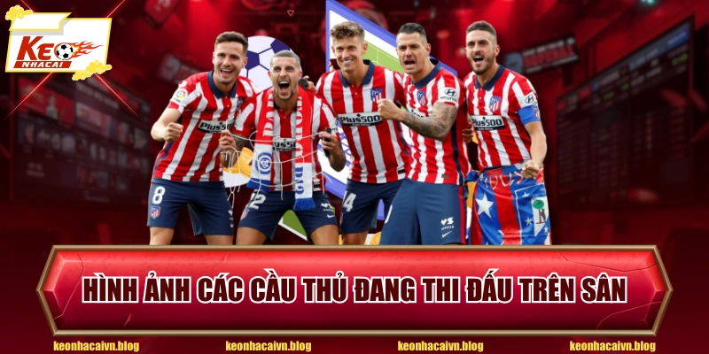 Hình ảnh các cầu thủ đang thi đấu trên sân