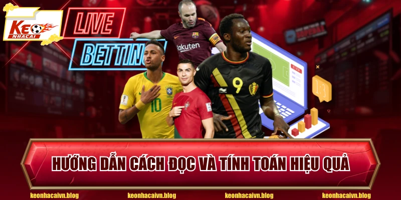 Hướng dẫn cách đọc và tính toán hiệu quả