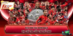 Kèo Nhà Cái Bongdalu - Địa Chỉ Tra Cứu Tin Thể Thao