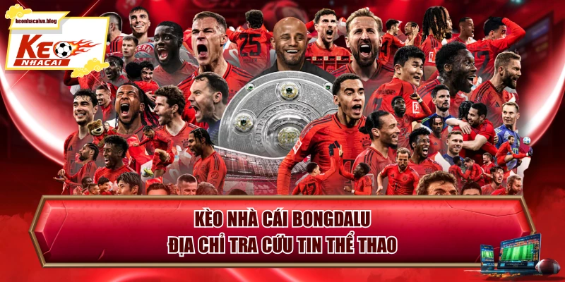 Kèo Nhà Cái Bongdalu - Địa Chỉ Tra Cứu Tin Thể Thao