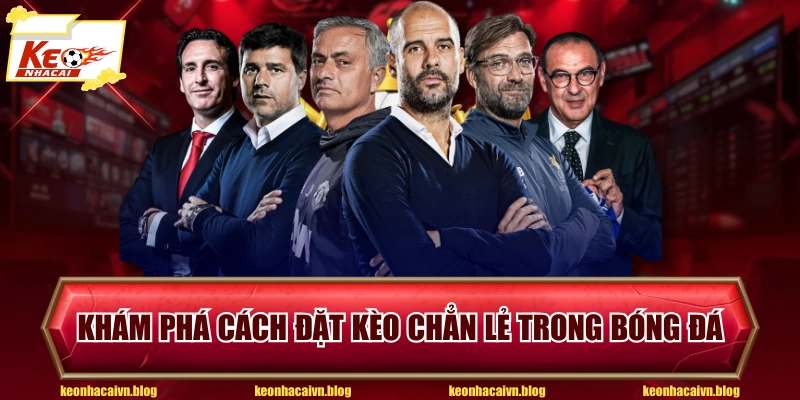 Khám phá cách đặt kèo chẵn lẻ trong bóng đá