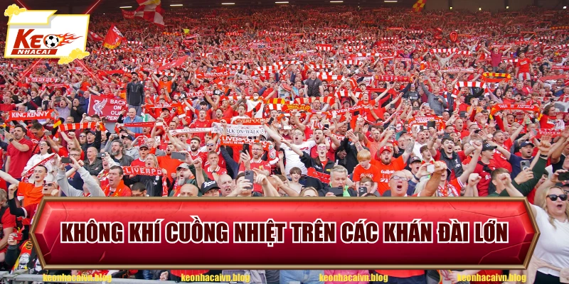 Không khí cuồng nhiệt trên các khán đài lớn