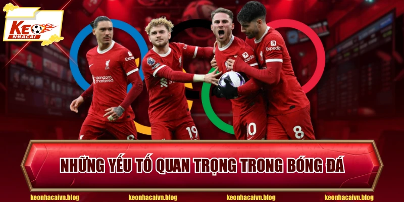 Những yếu tố quan trọng trong bóng đá