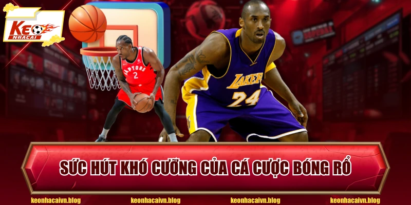 Sức hút khó cưỡng của cá cược bóng rổ