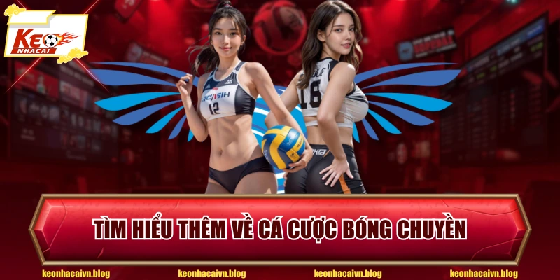 Tìm hiểu thêm về cá cược bóng chuyền