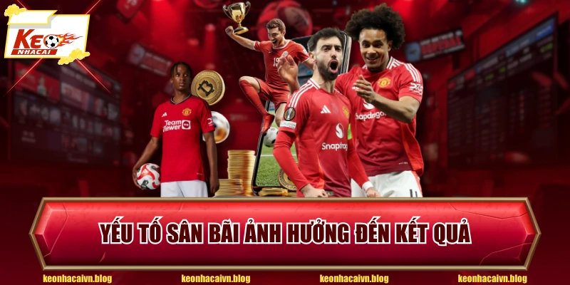 Yếu tố sân bãi ảnh hưởng đến kết quả